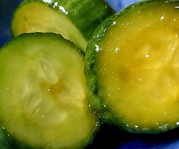 Classic Japanese Pickled Cucumber Recipe ( きゅうりの浅漬け)
