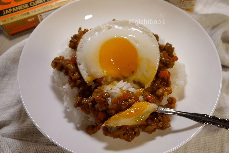 Tasty Japanese dry curry 